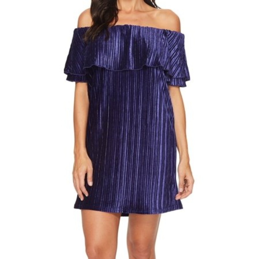NWT  Off-Shoulder Pleated Shift Dress.